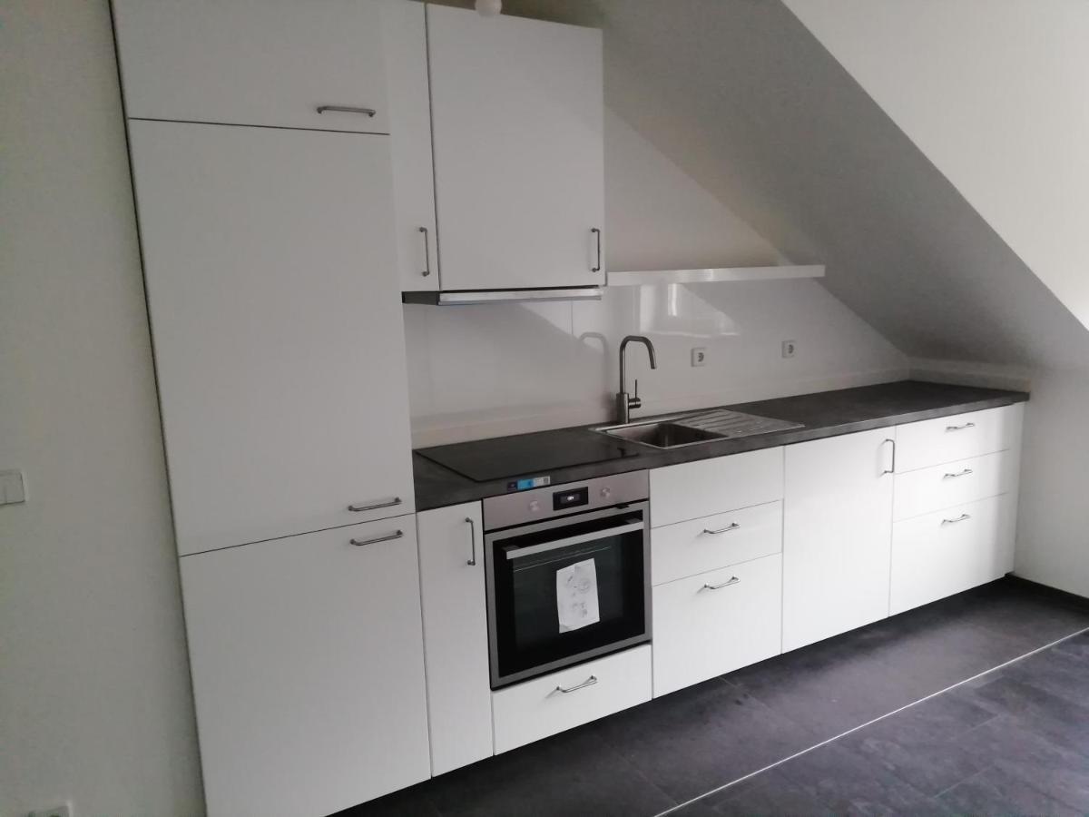 Ferienwohnung Am Stadtpark 开姆尼茨 外观 照片